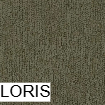 loris